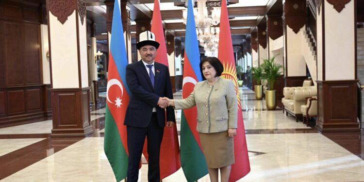 Шакиев Азербайжандын Милли Межлисинин төрайымы менен жолугушту