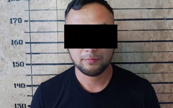 Бишкекте бейбаштыкка шектелген жаран кармалды