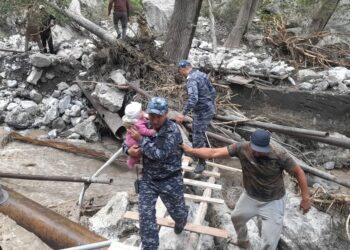 Ноокатта селдин кесепетинен каза болгондордун саны 7 кишиге жетти