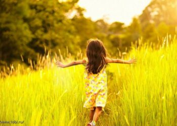 7-июнга карата өлкөдө күтүлгөн аба ырайы