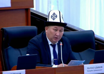 Депутат Мамасадыков: «Майлуу-Сууда бак-даракты мала курт жеп бүтмөй болду»