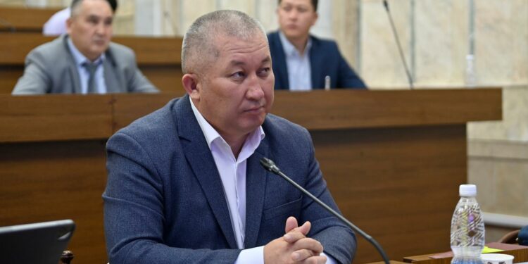 Депутат Мамасадыков балык азыктарынын курамындагы оор металлдардын деңгээлин аныктоону көтөрдү