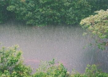 Шашылыш билдирүү: Нөшөрлүү жамгыр жаап, сел жүрүшү мүмкүн