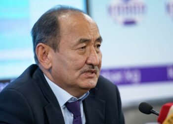 Министр эмдөөдөн кийин чарчап калган 3 жашар баланын иши боюнча комментарий берди