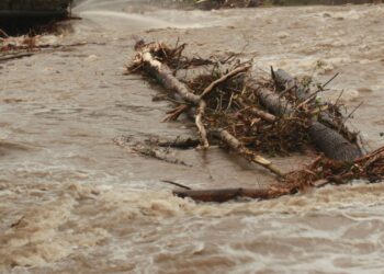 Ош — Сары-Таш — Эркечтам унаа жолу жабылды