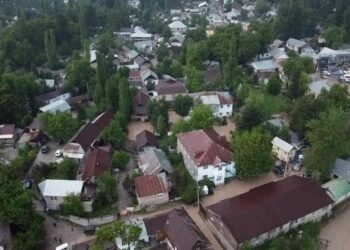 Селден улам Жалал-Абад облусунда “Айгай” жарыяланды