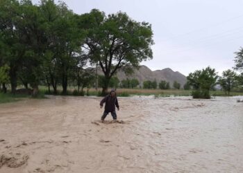 Шашылыш билдирүү: 2-7-июль күндөрү сел жүрүшү күтүлөт