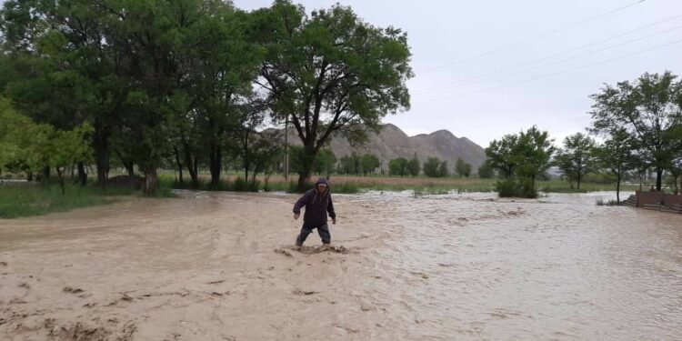 Шашылыш билдирүү: 2-7-июль күндөрү сел жүрүшү күтүлөт