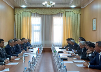 Топографиялык топтор кыргыз-тажик чек ара сызыгынын өтүүсүн сыпаттоо боюнча сунуштарын талкуулашты