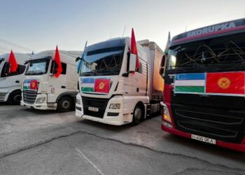 Өзбекстан Ноокаттагы селден жабыркагандарга гумжардам жөнөттү