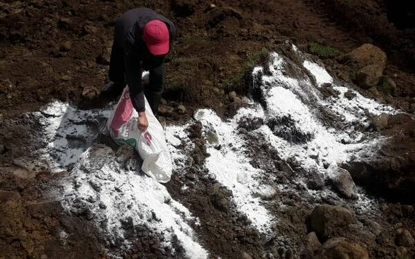 Жазы-Кечүү жайлоосунда чагылган тийип өлгөн 200дөн ашуун кой. Баары көмүлдү