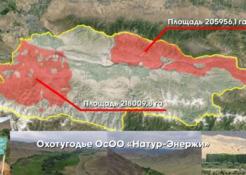 Уюшкан кылмыштуу топторго тиешеси бар Таластагы аңчылык жерлер мамлекетке кайтарылды