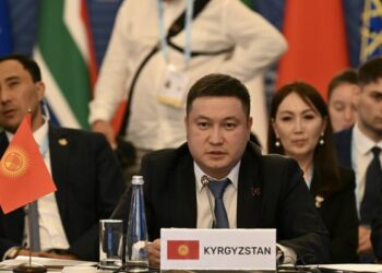 Депутат Калпаев БРИКС форумунда кыргыз тилинде сүйлөдү