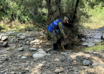 Оштогу сел: агызып кеткен 4 жаранды издөөгө 350 адам чыкты