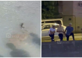 Мэриянын Ала-Арчага коё берген балыктарын ошол эле күнү кармап кетишти