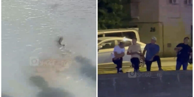 Мэриянын Ала-Арчага коё берген балыктарын ошол эле күнү кармап кетишти