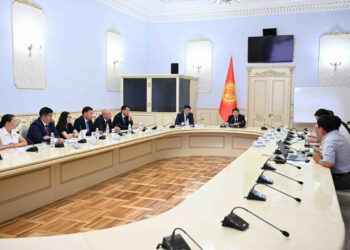 Өкмөттө Суусамырдын жайытын каптаган алтыгана боюнча жыйын өттү