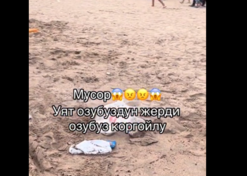 «Ысык-Көлдүн жээги таштандыга толуп кетти» деген видео тарады