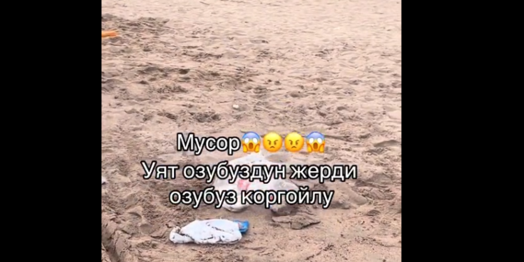 «Ысык-Көлдүн жээги таштандыга толуп кетти» деген видео тарады