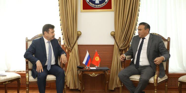 Кыргызстандыктардын Орусияга кирүү маселелери талкууланды