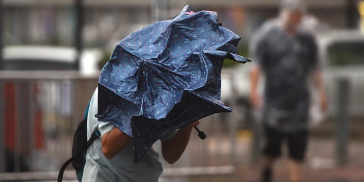 Бишкек менен Чүйдө катуу шамал күтүлөт