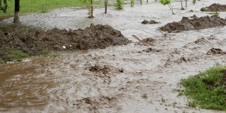 Ысык-Көл менен Нарында сел жүрүшү мүмкүн