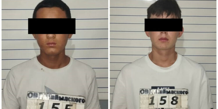 Чүйдө мушташта арачага түшкөн жаран комада жатат. Шектүү өспүрүмдөр кармалды