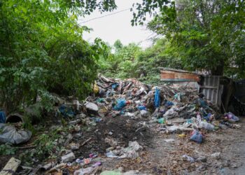 Адам чыдагыс жыт! Бишкектин тургунунун үйүнөн 40 тонна таштанды чыгарылды (сүрөт)