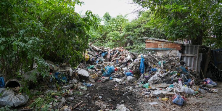 Адам чыдагыс жыт! Бишкектин тургунунун үйүнөн 40 тонна таштанды чыгарылды (сүрөт)