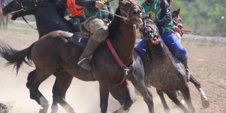 Президенттин кубогу: Көк бөрү боюнча мелдештер башталды
