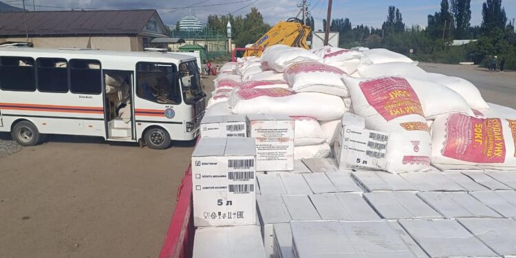 Ысык-Көлдө селден жабыркагандарга гумжардам жеткирилди