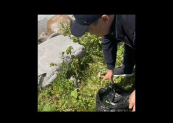 Садыр Жапаров жаратылыш койнунда таштанды жыйнаган видеосу менен бөлүштү