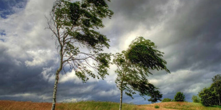 Бишкек менен Чүйдө катуу шамал күтүлөт