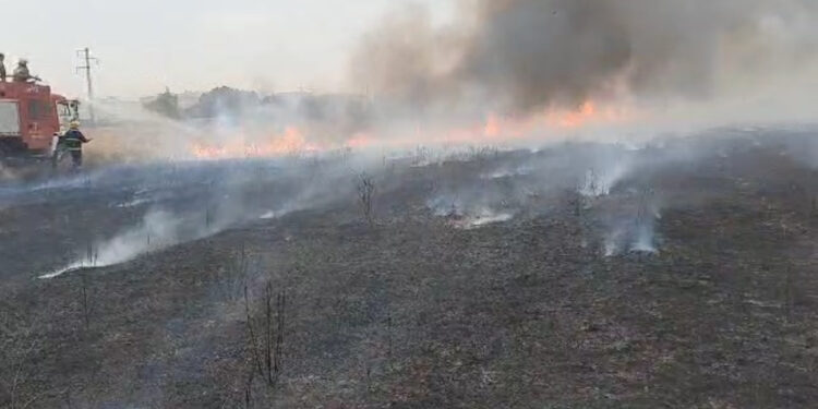 Бишкектин чет жакасындагы Өскөн-Ордо жаңы конушунда өрт чыкты
