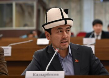 Нуржигит Кадырбеков мандатын тапшыруу боюнча арыз жазды