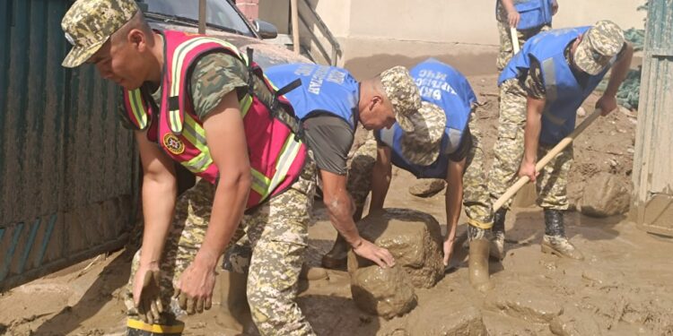 Ысык-Көл районундагы селден 480 үй жабыркады