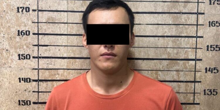 «Буга чейин да зордуктоо боюнча издөөдө жүргөн». Бишкекте кыз зордуктоого шектүү кармалды