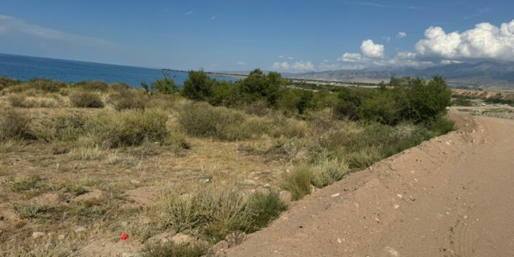 Жети-Өгүздө көл жээктеги 5 гектар жер тилке мамлекетке кайтарылды