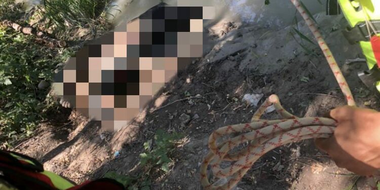 Чоң Чүй каналынан 15 жаштагы өспүрүмдүн жансыз денеси табылды