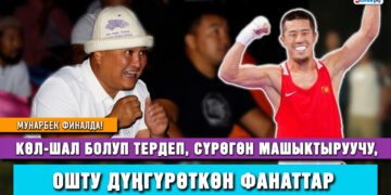 Мунарбек финалда! Көл-шал болуп тердеп, сүрөгөн машыктыруучу, Ошту дүңгүрөткөн фанаттар