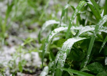 28-29-сентябрда үшүк жүрүшү мүмкүн