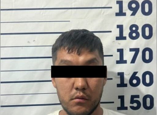 Сейфтен 40 миң доллар уурдалган. Бишкекте шектүү кармалды