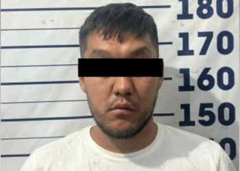 Сейфтен 40 миң доллар уурдалган. Бишкекте шектүү кармалды