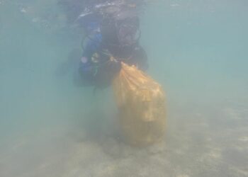 Ысык-Көлдөн 13 тоннадан ашуун таштанды чыгарылды