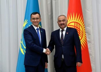 Шакиев Казакстандын парламентинин сенатынын төрагасы менен жолугушту