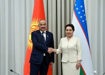 Шакиев Өзбекстандын Олий Мажлисинин сенатынын төрайымы менен жолугушту