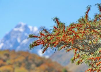 18-25-сентябрда өлкөдө аба ырайы кандай болот?