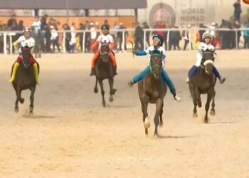 Аламан байге: кыргызстандык күлүк Каракыз 3-орунду ээледи