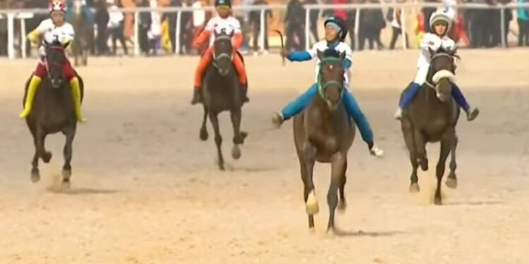 Аламан байге: кыргызстандык күлүк Каракыз 3-орунду ээледи