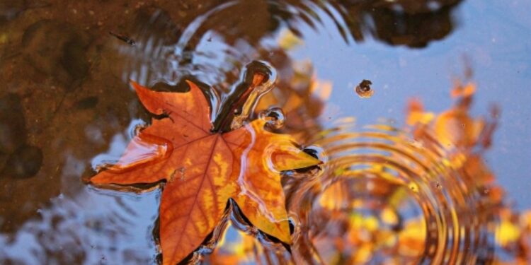 24-сентябрга карата өлкөдө күтүлгөн аба ырайы